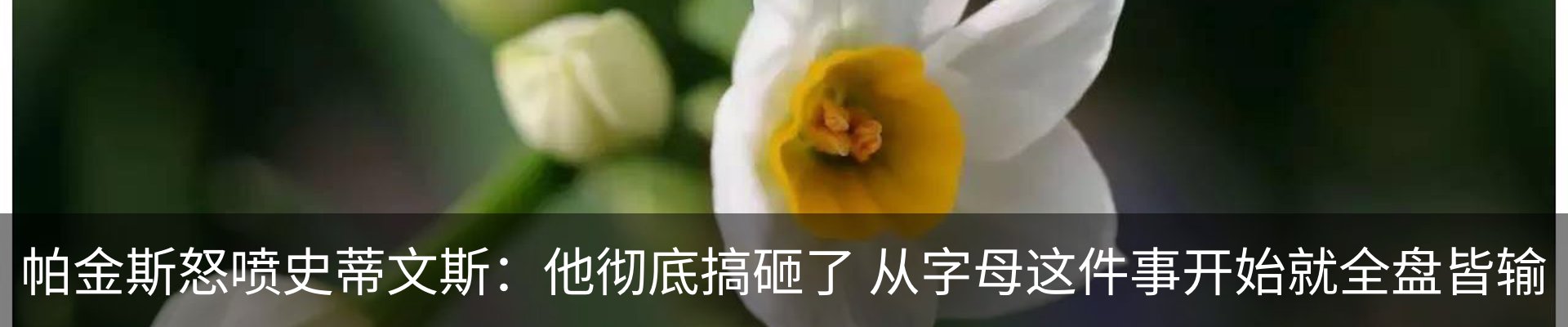 新闻动态